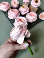 Ранункулюс и бутон на стебле — изображение 3